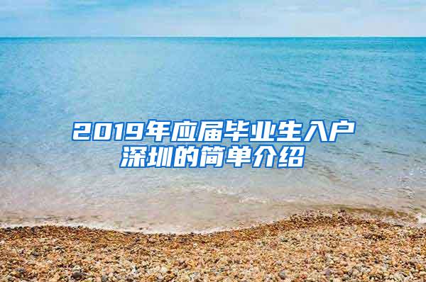 2019年应届毕业生入户深圳的简单介绍