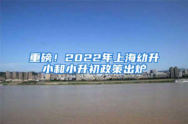 重磅！2022年上海幼升小和小升初政策出炉