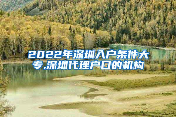 2022年深圳入户条件大专,深圳代理户口的机构