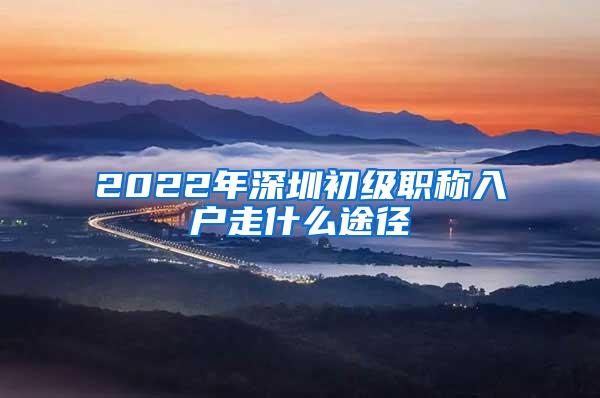 2022年深圳初级职称入户走什么途径