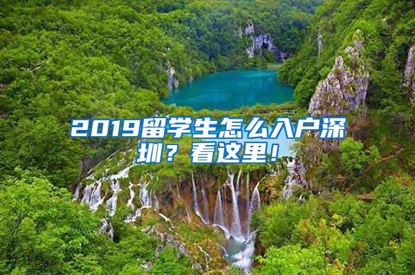 2019留学生怎么入户深圳？看这里！