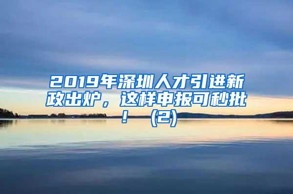 2019年深圳人才引进新政出炉，这样申报可秒批！ (2)