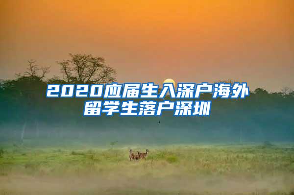 2020应届生入深户海外留学生落户深圳