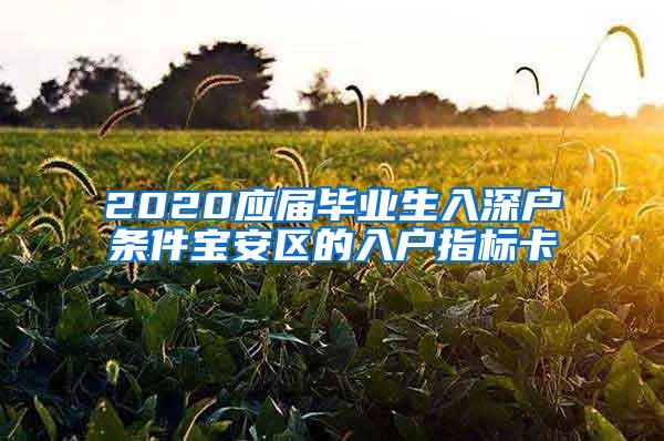 2020应届毕业生入深户条件宝安区的入户指标卡