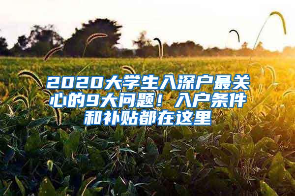 2020大学生入深户最关心的9大问题！入户条件和补贴都在这里