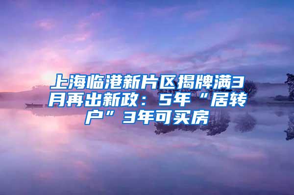 上海临港新片区揭牌满3月再出新政：5年“居转户”3年可买房