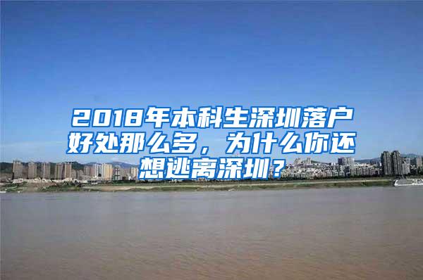 2018年本科生深圳落户好处那么多，为什么你还想逃离深圳？