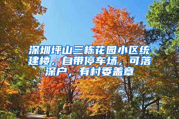 深圳坪山三栋花园小区统建楼，自带停车场，可落深户，有村委盖章