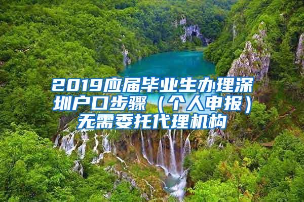 2019应届毕业生办理深圳户口步骤（个人申报）无需委托代理机构