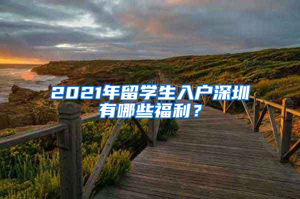 2021年留学生入户深圳有哪些福利？