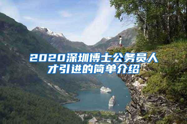 2020深圳博士公务员人才引进的简单介绍