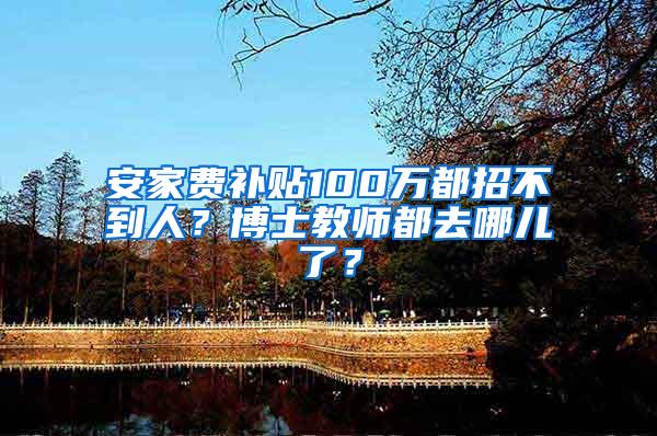 安家费补贴100万都招不到人？博士教师都去哪儿了？