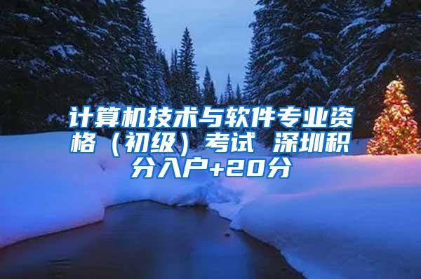 计算机技术与软件专业资格（初级）考试 深圳积分入户+20分