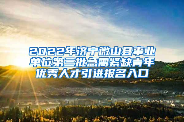 2022年济宁微山县事业单位第三批急需紧缺青年优秀人才引进报名入口