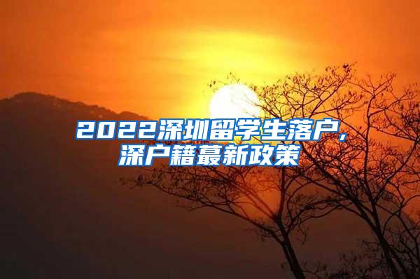 2022深圳留学生落户,深户籍蕞新政策