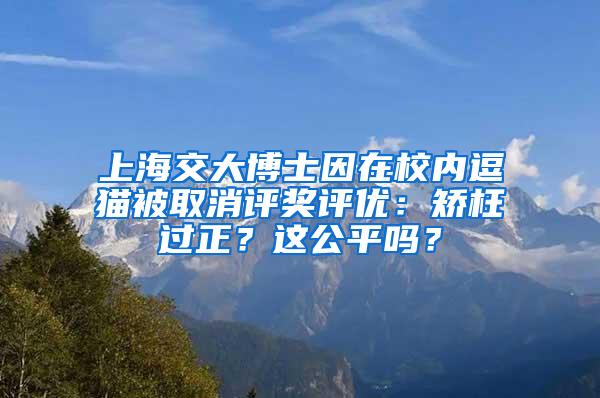 上海交大博士因在校内逗猫被取消评奖评优：矫枉过正？这公平吗？