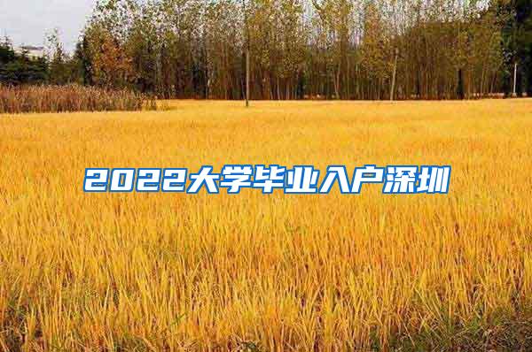 2022大学毕业入户深圳