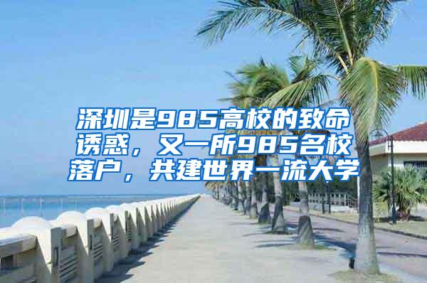 深圳是985高校的致命诱惑，又一所985名校落户，共建世界一流大学