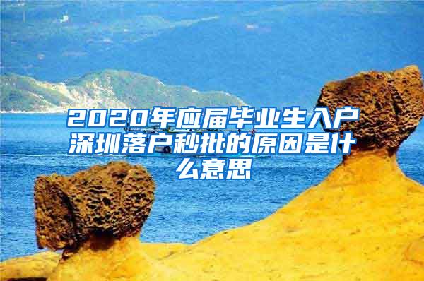 2020年应届毕业生入户深圳落户秒批的原因是什么意思