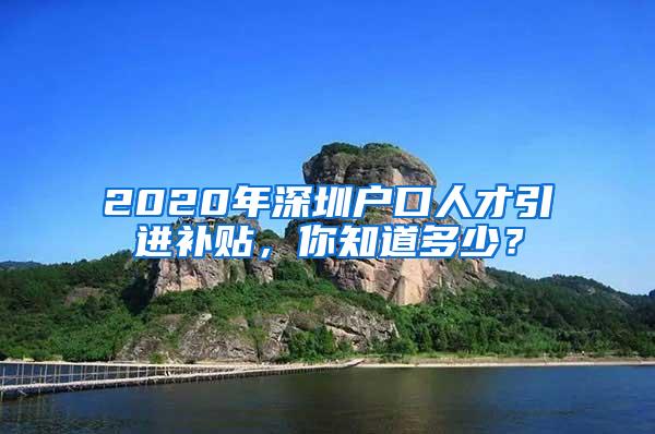 2020年深圳户口人才引进补贴，你知道多少？