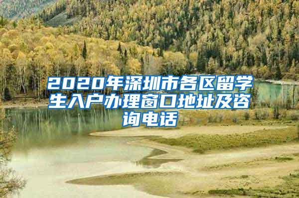 2020年深圳市各区留学生入户办理窗口地址及咨询电话