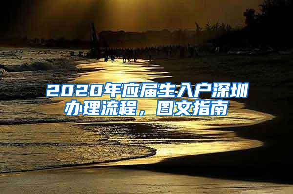 2020年应届生入户深圳办理流程，图文指南