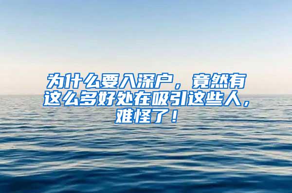 为什么要入深户，竟然有这么多好处在吸引这些人，难怪了！