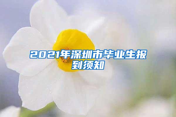 2021年深圳市毕业生报到须知