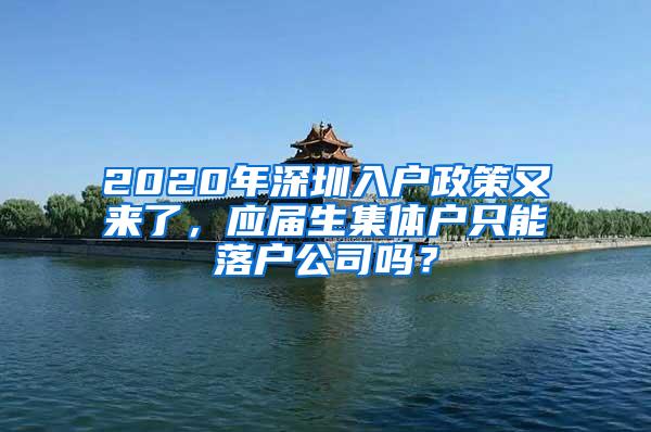 2020年深圳入户政策又来了，应届生集体户只能落户公司吗？