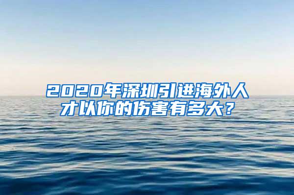 2020年深圳引进海外人才以你的伤害有多大？