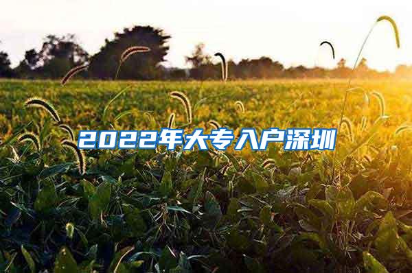 2022年大专入户深圳