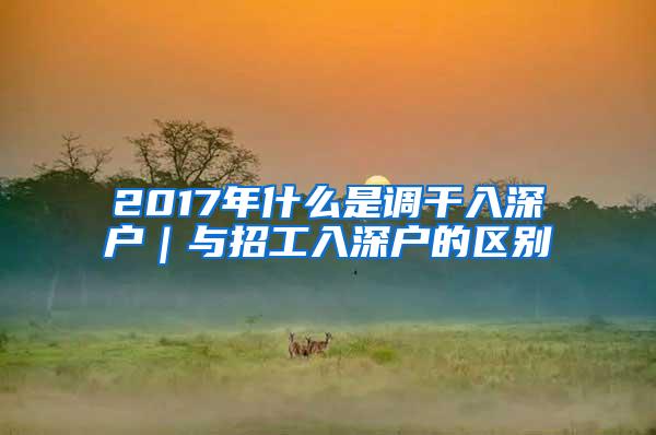 2017年什么是调干入深户｜与招工入深户的区别