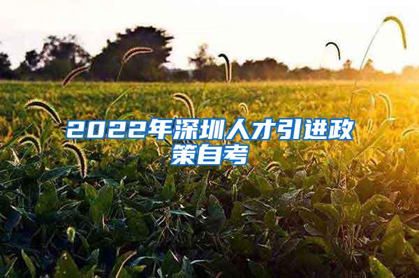 2022年深圳人才引进政策自考