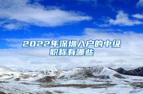 2022年深圳入户的中级职称有哪些