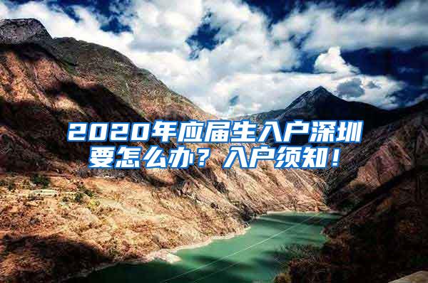 2020年应届生入户深圳要怎么办？入户须知！