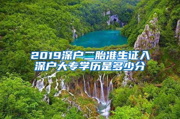 2019深户二胎准生证入深户大专学历是多少分