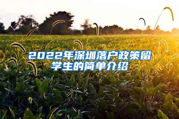 2022年深圳落户政策留学生的简单介绍