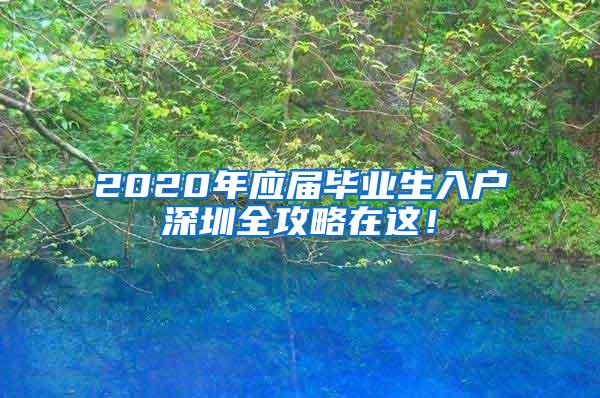 2020年应届毕业生入户深圳全攻略在这！