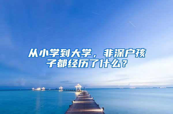 从小学到大学，非深户孩子都经历了什么？