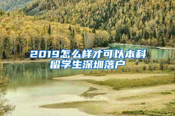 2019怎么样才可以本科留学生深圳落户