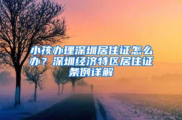 小孩办理深圳居住证怎么办？深圳经济特区居住证条例详解