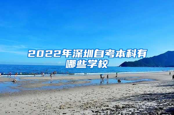 2022年深圳自考本科有哪些学校