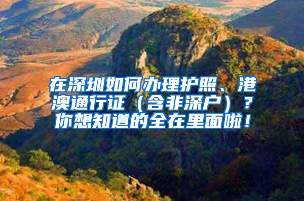 在深圳如何办理护照、港澳通行证（含非深户）？你想知道的全在里面啦！