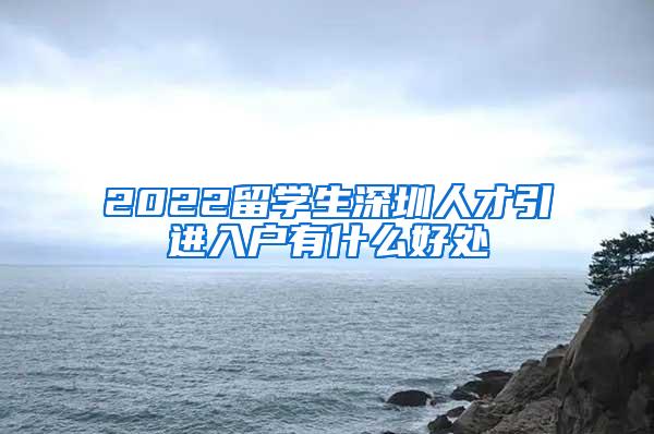 2022留学生深圳人才引进入户有什么好处