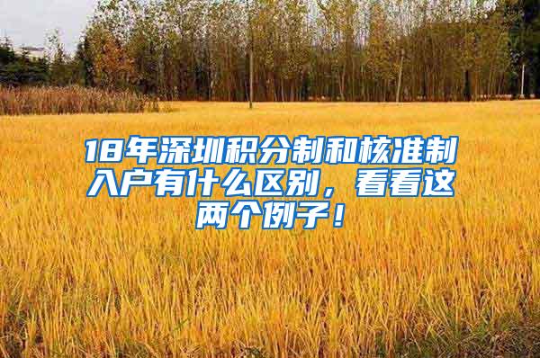 18年深圳积分制和核准制入户有什么区别，看看这两个例子！