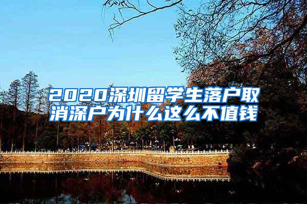 2020深圳留学生落户取消深户为什么这么不值钱