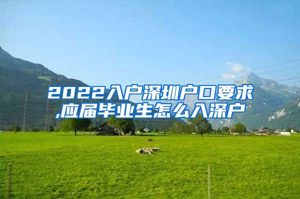 2022入户深圳户口要求,应届毕业生怎么入深户