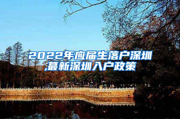 2022年应届生落户深圳,蕞新深圳入户政策