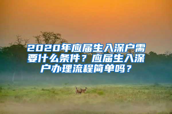 2020年应届生入深户需要什么条件？应届生入深户办理流程简单吗？