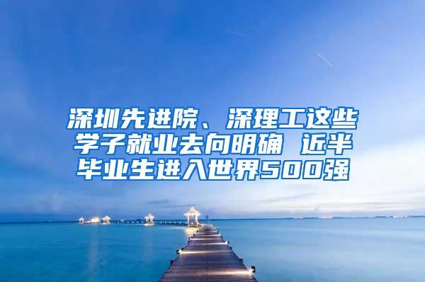 深圳先进院、深理工这些学子就业去向明确 近半毕业生进入世界500强